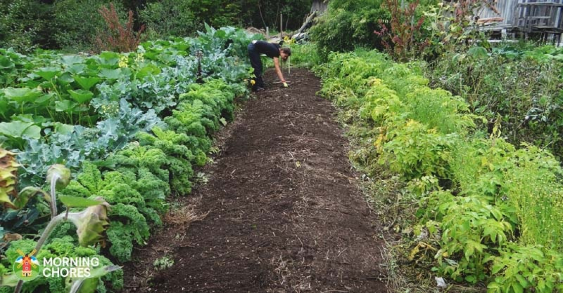 Homesteading