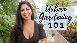What the #@&$ is Urban Gardening?!? | Urban Gardening 101